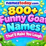 800+ Funny Goat Names That’ll Make You Laugh (1)