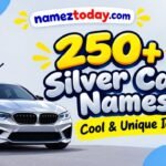 250 Best Silver Car Names Cool & Unique Ideas