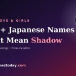 260+ Japanese Names That Mean Shadow for Boys & Girls