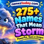 275+ Names That Mean Storm Powerful, Rare & Unique