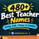 480+ Best Teacher Names Funny, Cool, Unique & Creative