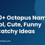 850+ Octopus Names Cool, Cute, Funny & Catchy Ideas