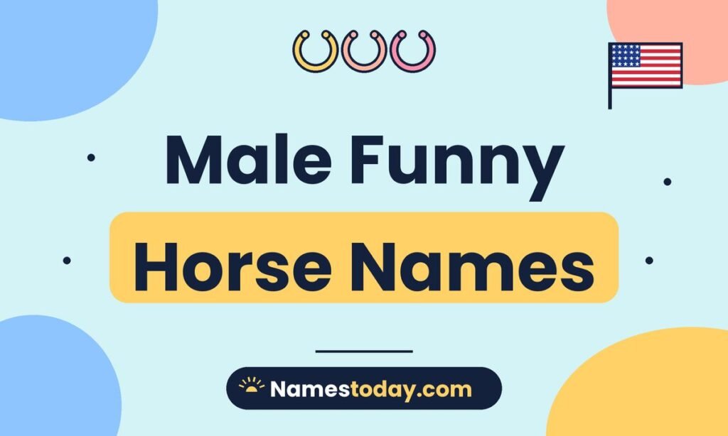 🎬 🐎 Male Funny Horse Names